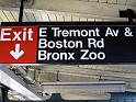 NY (341)